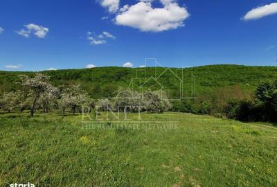 Spațiu comercial, în Budeasa - 5
