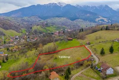 Teren de 7658 mp, în Bran - 3