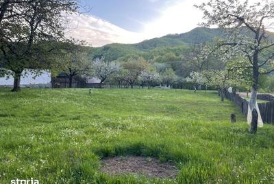 Teren de 1590 mp, în Firiza - 4