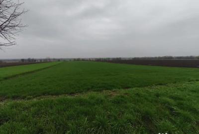 Teren de 6000 mp, în Horodnic - 6