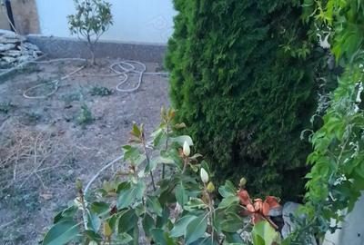 Casă cu 5 camere în Central - 5