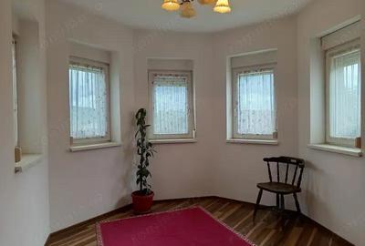 Casă cu 6 camere în Mintia - 1