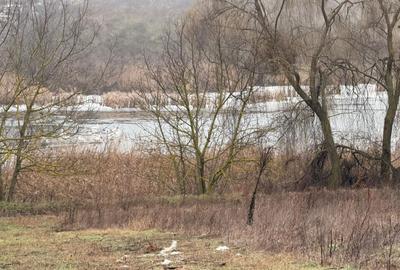 Teren cu deschidere la lac | 50 m Padure | 1000 MP - 8