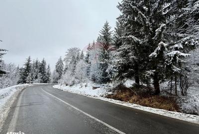 Spațiu comercial, în Central - 4