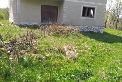 Casă cu Teren 8000 Mp în Roșia Montană - 3