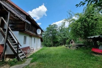 Balilesti - Stradal, casa spatioasa, 4600 mp teren intravilan - curte spatioasa - 3