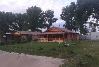 HORIA - 3 CAMERE ,SUPRAFATA 100 MP,TEREN 3000 MP CU DESCHIDERE LA LAC - 3
