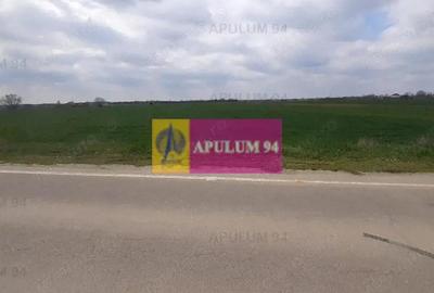 Teren de 5110 mp, în 1 Decembrie - 9