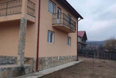 Casă cu 4 camere în Pârcovaci - 3
