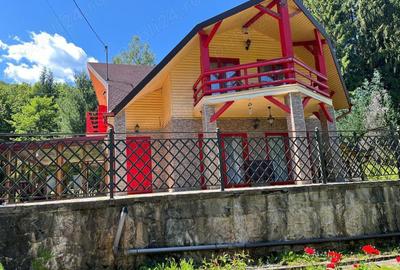 Cabana de vacanta spatioasa, eleganta, cu arhitectura clasica, adaptata la cerintele zonei de munte. - 2