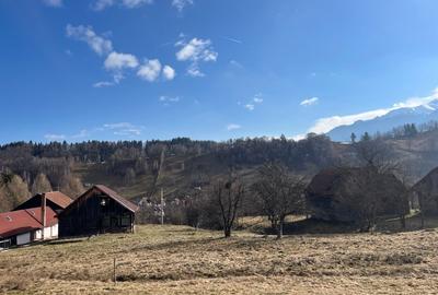 Teren intravilan 2.881 mp Șimon - Vedere panoramică Bucegi - Utilități incluse - 10