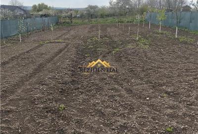 Casă individuală cu 2 camere cu Teren 1100 Mp în Cucorăni - 4