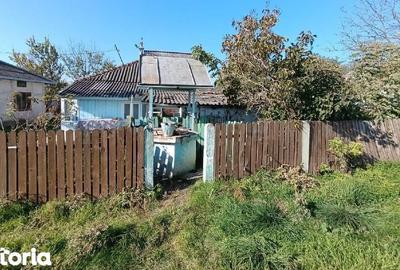 Casă cu 3 camere cu Teren 1484 Mp în Havârna - 13