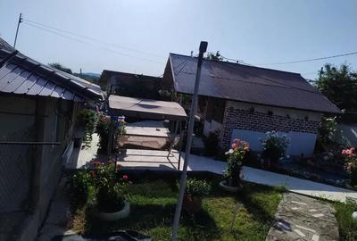 Casă cu 4 camere cu Teren 11000 Mp în Bobaița - 1