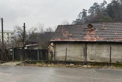 Casă cu Teren 790 Mp în Central - 1