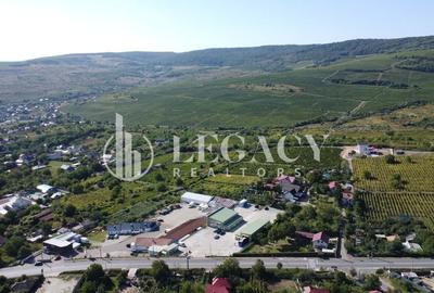 Vânzare! AFACERE LA CHEIE "service auto/camioane" - HUȘI, jud. Vaslui - 11