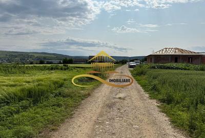 Teren Construcții intravilan de 500 mp, în Crihan - 6