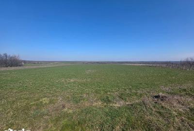 Teren de 3800 mp, în Mischii - 3