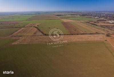 Spațiu comercial, în Săftica - 19