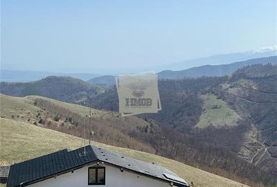 Terenuri cu PUZ si apa suprafete intre 570 mp 2025 mp in Paltinis- Sibiu - 7