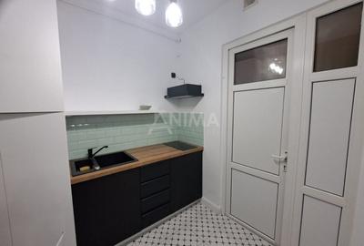 Apartament 1 camera in zona ultracentrala, ideal birouri Apartament 1 camera in zona ultracentrala, ideal birouri - 9