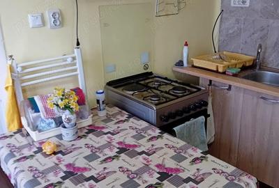 Vand casa in com.Taut,cu toate utilitatile+ livada de 100 pomi fructiferi - 9