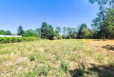 Teren de 3200 mp, în Urlueni - 12