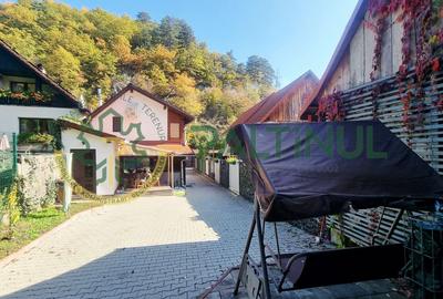 Casă modernă cu două apartamente, complet utilată, Cisnădioara – Sibiu - 16