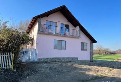 Vand casa Faget Vand casa Faget - 8