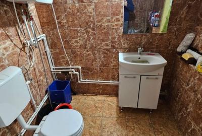 Casă individuală cu 2 camere cu Canalizare în Mitrofani - 10