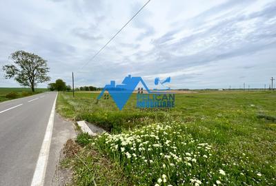 Teren Construcții extravilan de 27500 mp, în Murighiol - 5