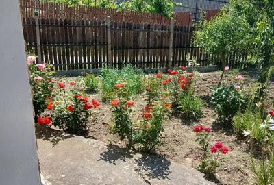 Casă cu Teren 914 Mp în Fundeni - 2