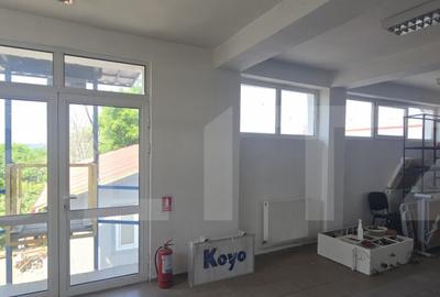 Spațiu comercial, de 750 mp, în Calea Severinului - 12