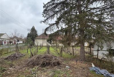 Casă cu 3 camere cu Teren 1900 Mp în Borș - 4