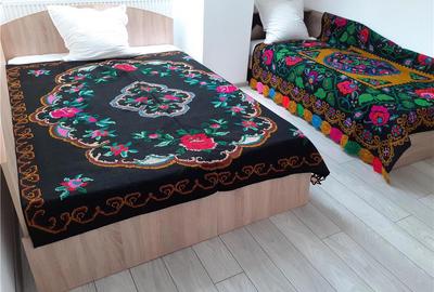 Casă cu 2 camere în Cârțișoara - 7