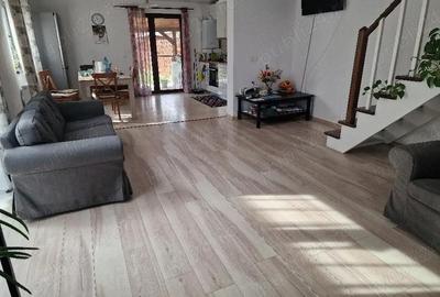 Casă cu 1 camere cu Teren 350 Mp în Dumbrăvița - 2