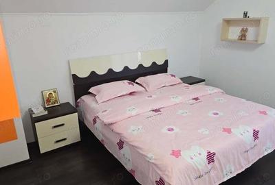 Vand casa noua in Deva, zona Zavoi, P+M, (mai jos de blocurile ANL), mobilata utilalata - 13