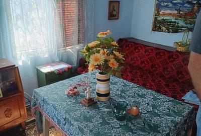 Casă cu 3 camere cu Teren 533 Mp în Fetești - 1