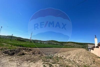 Teren de 1600 mp, în Cristian