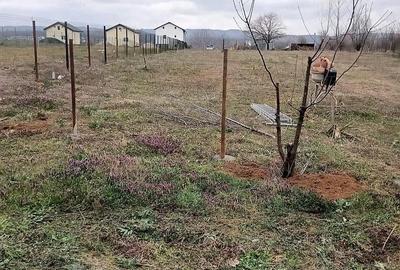 Teren de 2500 mp, în Ostrovu Mare - 2