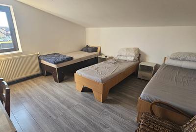 Proprietate speciala Dumbravita - casa individuala !! - 8