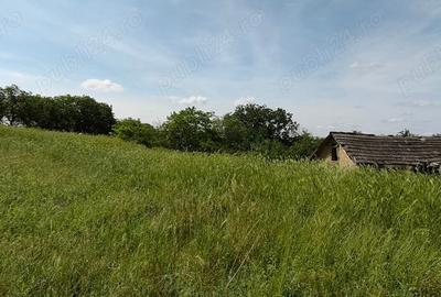 Teren de 925 mp, în Berceni