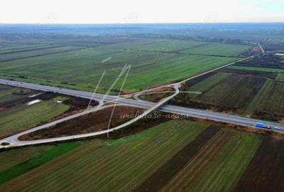 Teren intravilan curti-constructii, industrial, Autostrada A1 - km 62 - 7