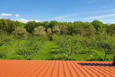 Casă cu 4 camere în Central - 4