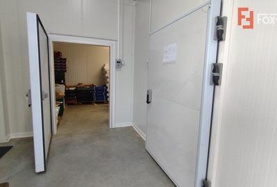 Spațiu industrial, de 35 mp, în Săcălaz - 10