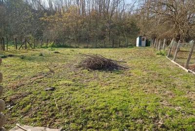 Casă cu 3 camere în Dezești - 8