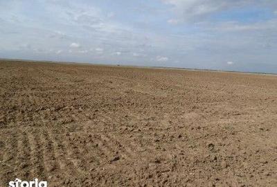 Teren de 5800 mp, în Scurtu Mare - 11