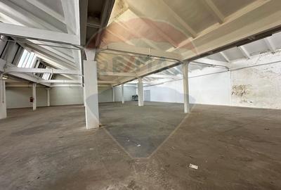 Spatii industriale premium - 7