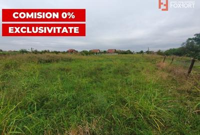 COMISION 0% Teren intravilan 2978 mp la sosea | Sanmihaiu German - ID V5613 - 4