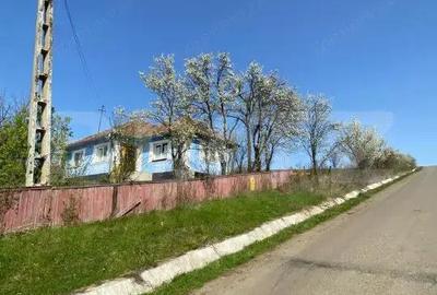 Casă cu 2 camere cu Teren 10000 Mp în Apahida - 1